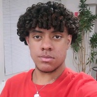Vinícius Henrique Jesus Carrão Santos