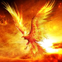 Phoenix Project