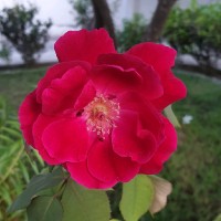 Ghaith Khaled