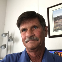 Wayne Towns