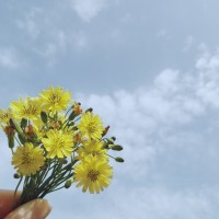 吴莉君
