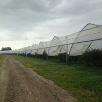 SUNPRO ltd SUNPRO ltd