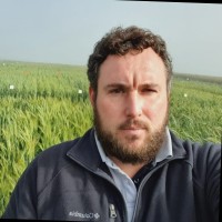 Carlos Rafael Wutzki