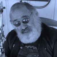tony Bertolotti