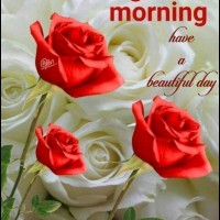 Badsha Asif Asif