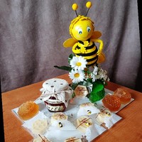 Manuela Fulgueiras Cascallana