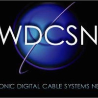 Winsonic Global Network, Ltd.