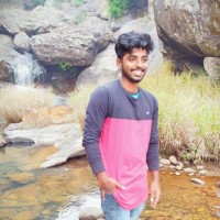 Pavan Kumar Nalam