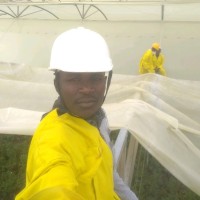 Peter Gitiha