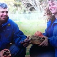 ענת Anat גולדהבר Goldstein