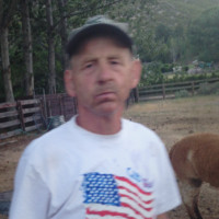 laird davis