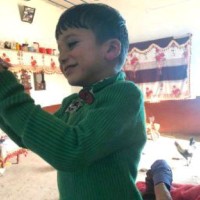 Taj Khan
