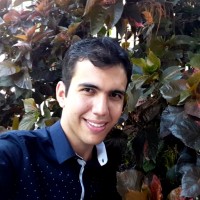 Weliton Rafael Domingues