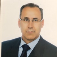 José V. S. Martins Teodósio