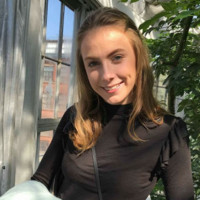 Josephine Van Halsema