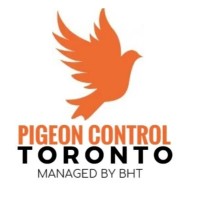 Pigeon control Toronto