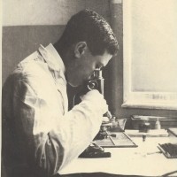 Fundação Francisco Pulido Valente