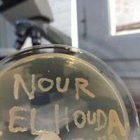 Nour El Houda B.