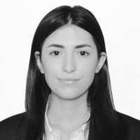 María Fernanda Treviño Páez