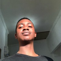 Anesu Ivan Karimanzira