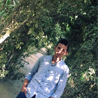 Sayed Elsherbiny