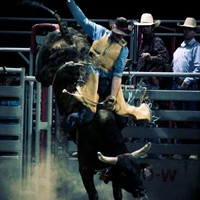 Preston Stryker