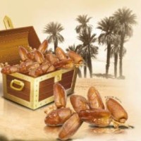 Dates And Azaiez
