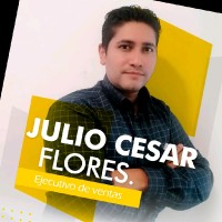 Julio Cesar Flores Tovar
