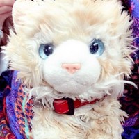 Tabby Nam Novelonio