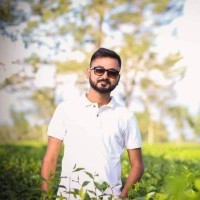 Sourav Roy