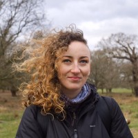 Johanna Wellems
