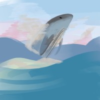 Kim Skywhale