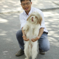 Nguyen Vinh