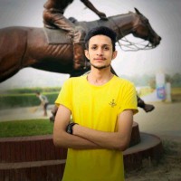 Husnain Abid