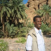 rafat mohamed