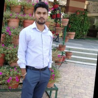 Er. Pikku Kumar