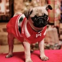 FURRY BABIES BOUTIQUE
