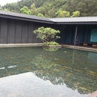 Liu_kaiyang James Liu