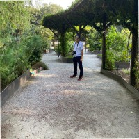 Francisco Velazquez L.