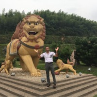 Mohamed Ali