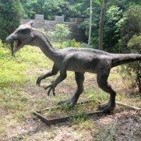 袁汉文