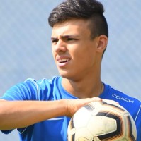 Marco Oddi