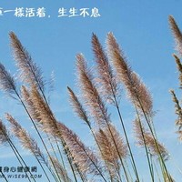 何红建