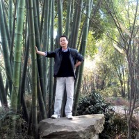 李运涛