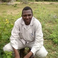 Mohamed Ishag