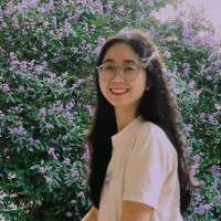 Vui Phan