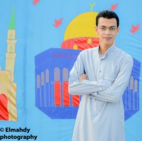محمود المهدي