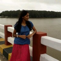 Madhulaxmi V W