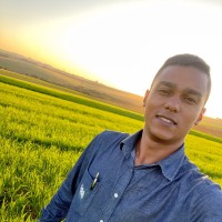 Renan Braga Alexandre