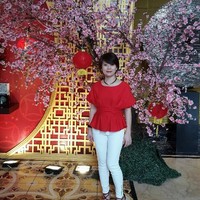 Han ai ping ping